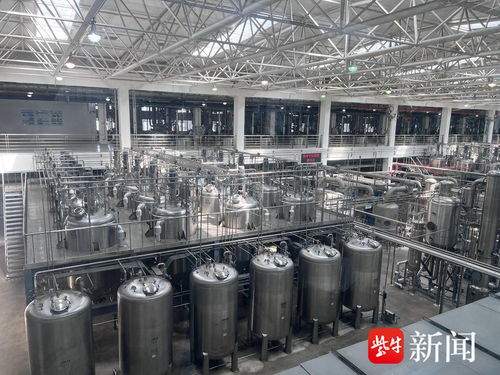 向智向新向綠 新質(zhì)生產(chǎn)力下連云港網(wǎng)絡(luò)技術(shù)的研究與實(shí)踐