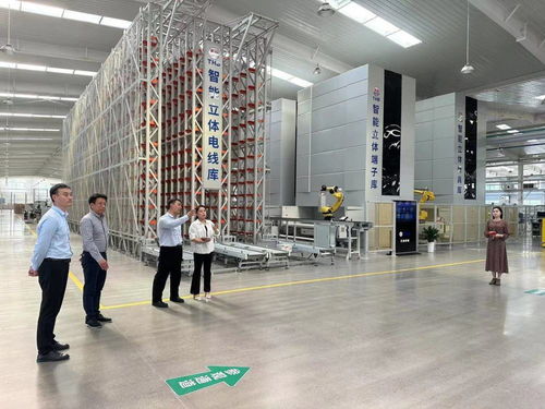 鶴壁經(jīng)濟(jì)技術(shù)開(kāi)發(fā)區(qū)開(kāi)展“一起益企”中小企業(yè)信息技術(shù)咨詢服務(wù)活動(dòng)